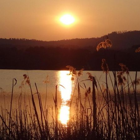 Ilsenhof Am Turnersee Obersammelsdorf Екстериор снимка