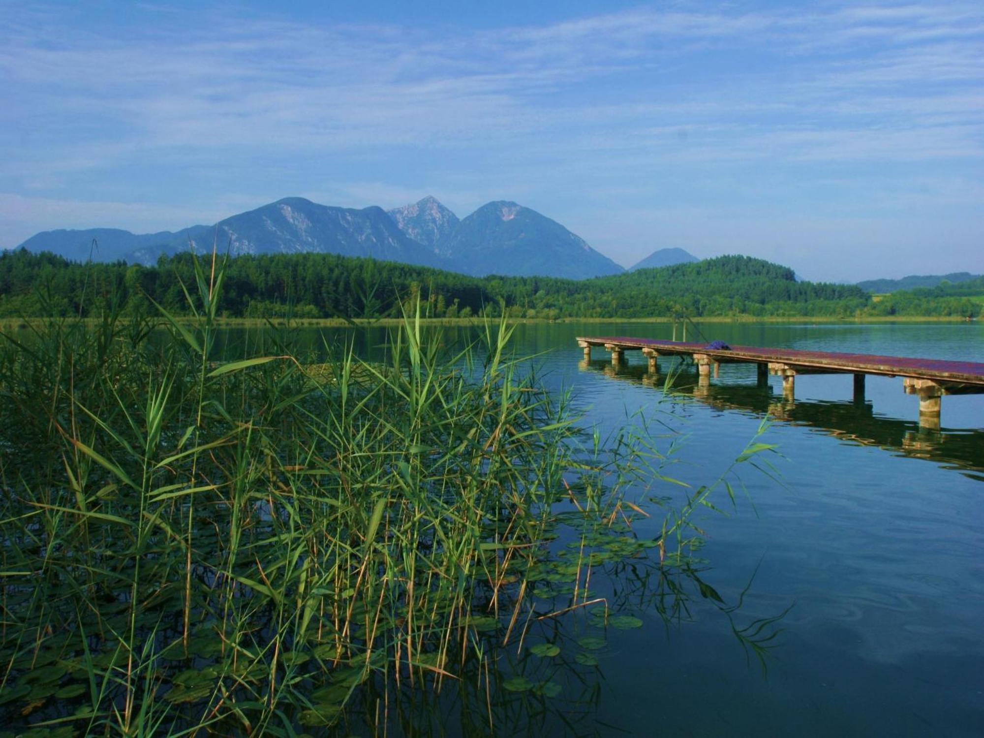 Ilsenhof Am Turnersee Obersammelsdorf Екстериор снимка