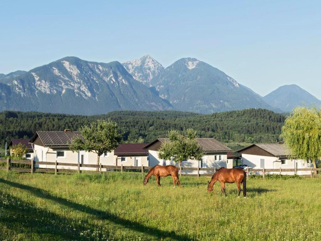 Ilsenhof Am Turnersee Obersammelsdorf Екстериор снимка